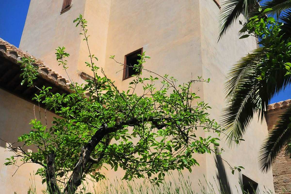 Palacio de Dar Al Horra