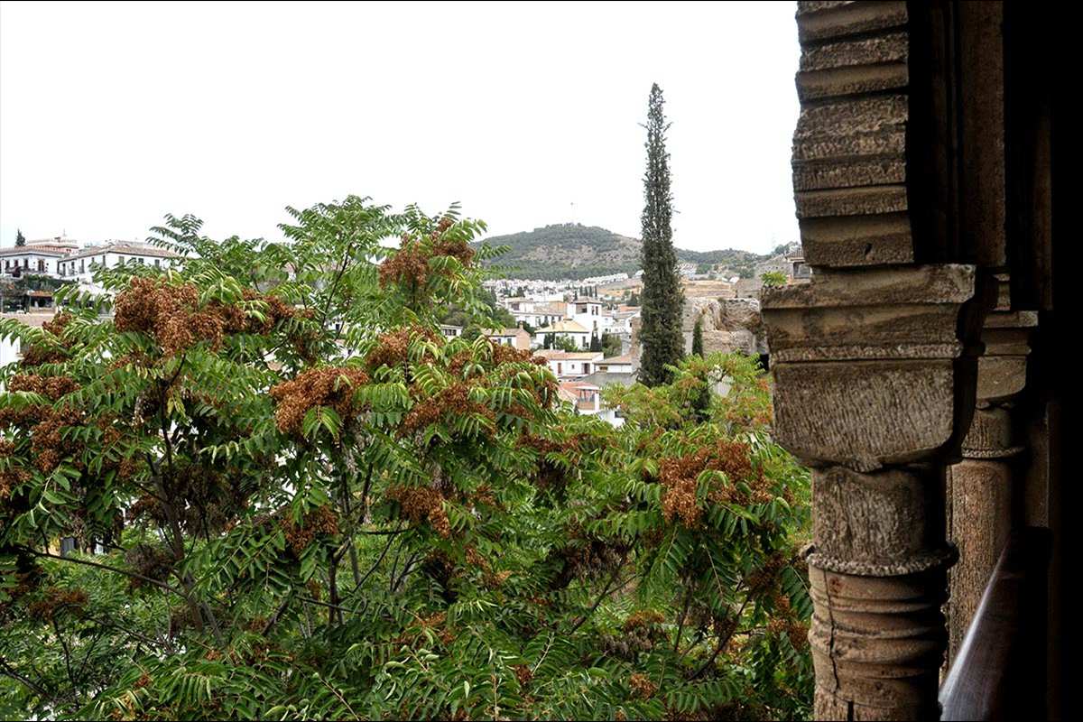 Palacio de Dar Al Horra