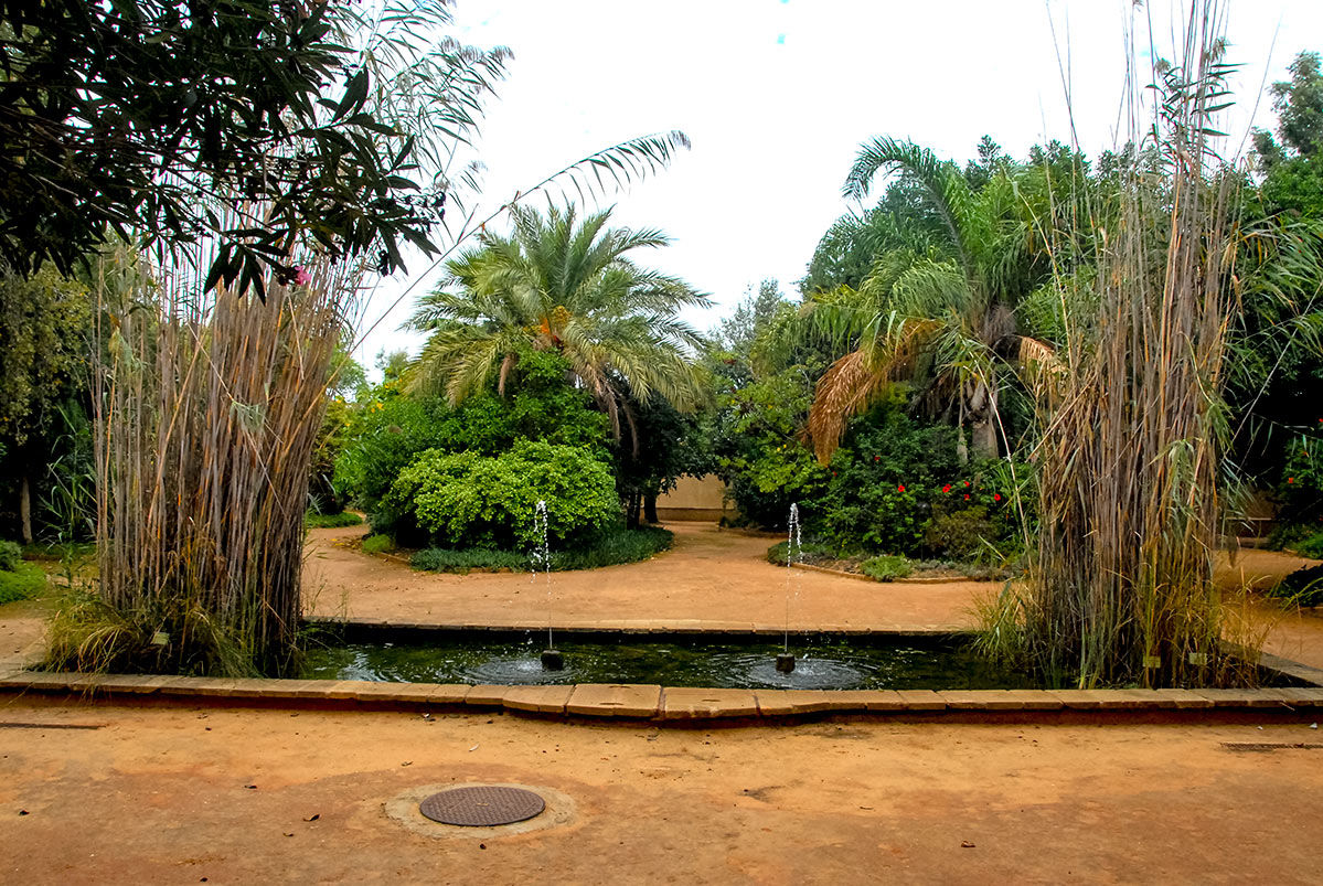 jardinbotanico