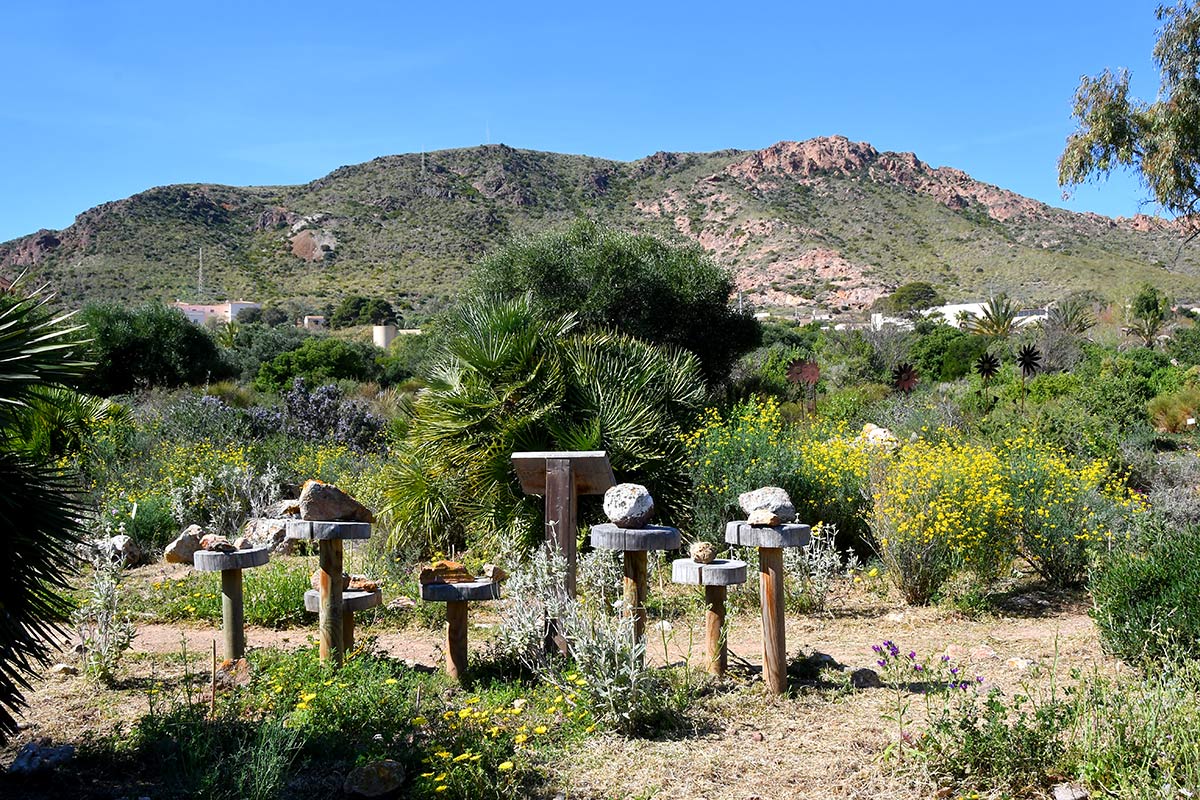 jardinbotanicoalbardinar07