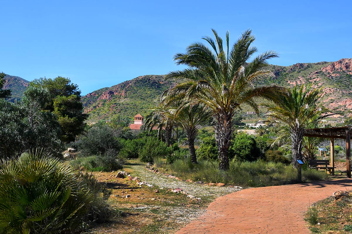 jardinbotanicoalbardinar08