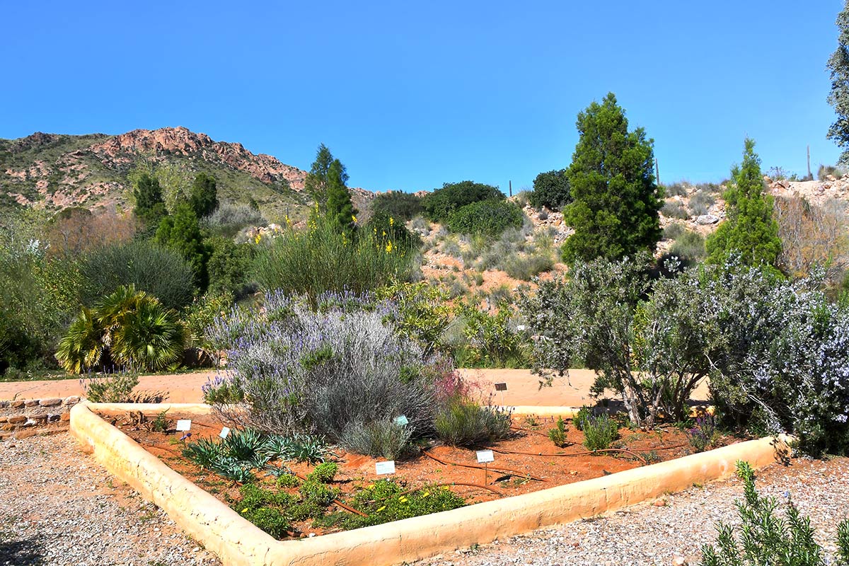 jardinbotanicoalbardinar09