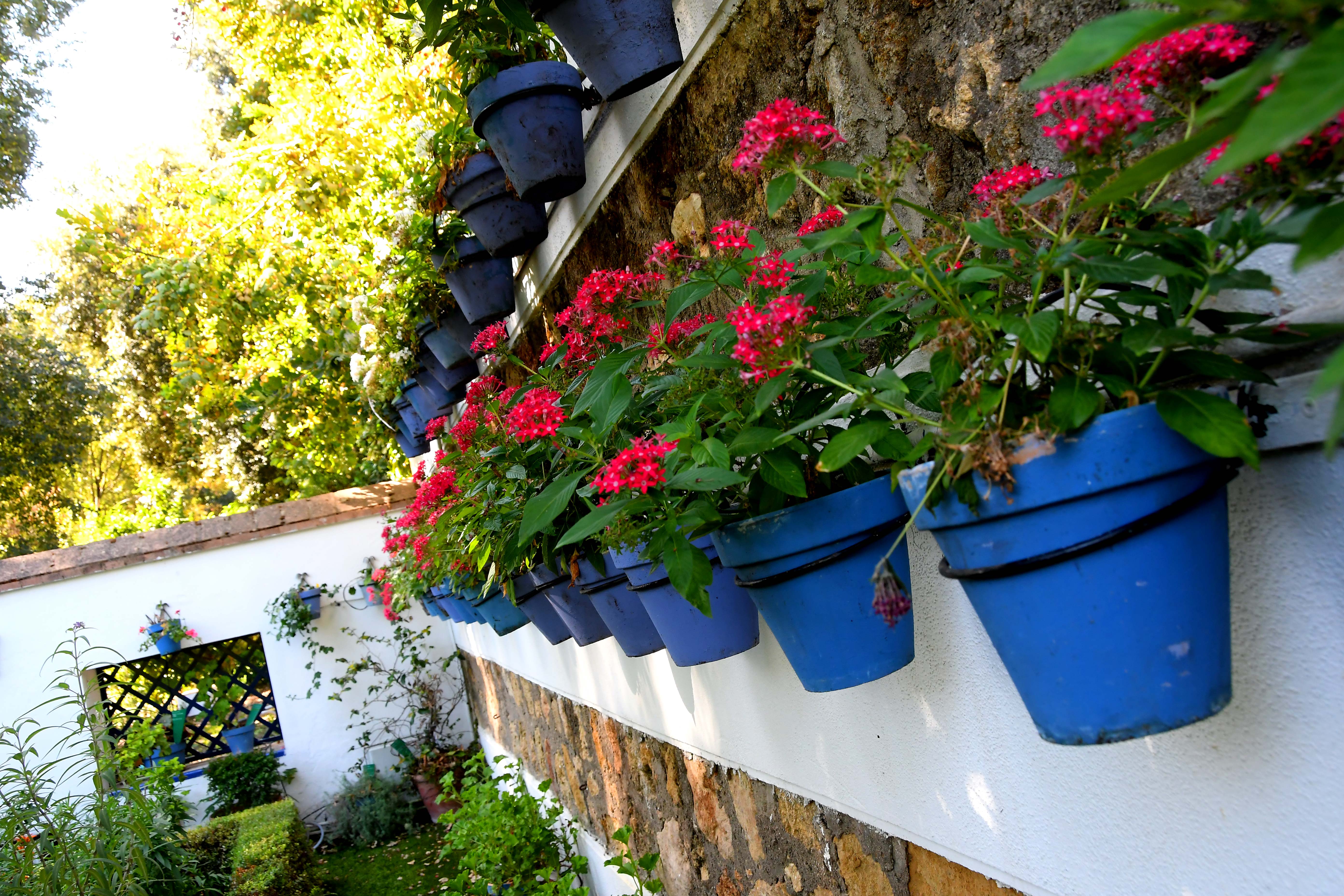 jardinbotanicodecordoba22