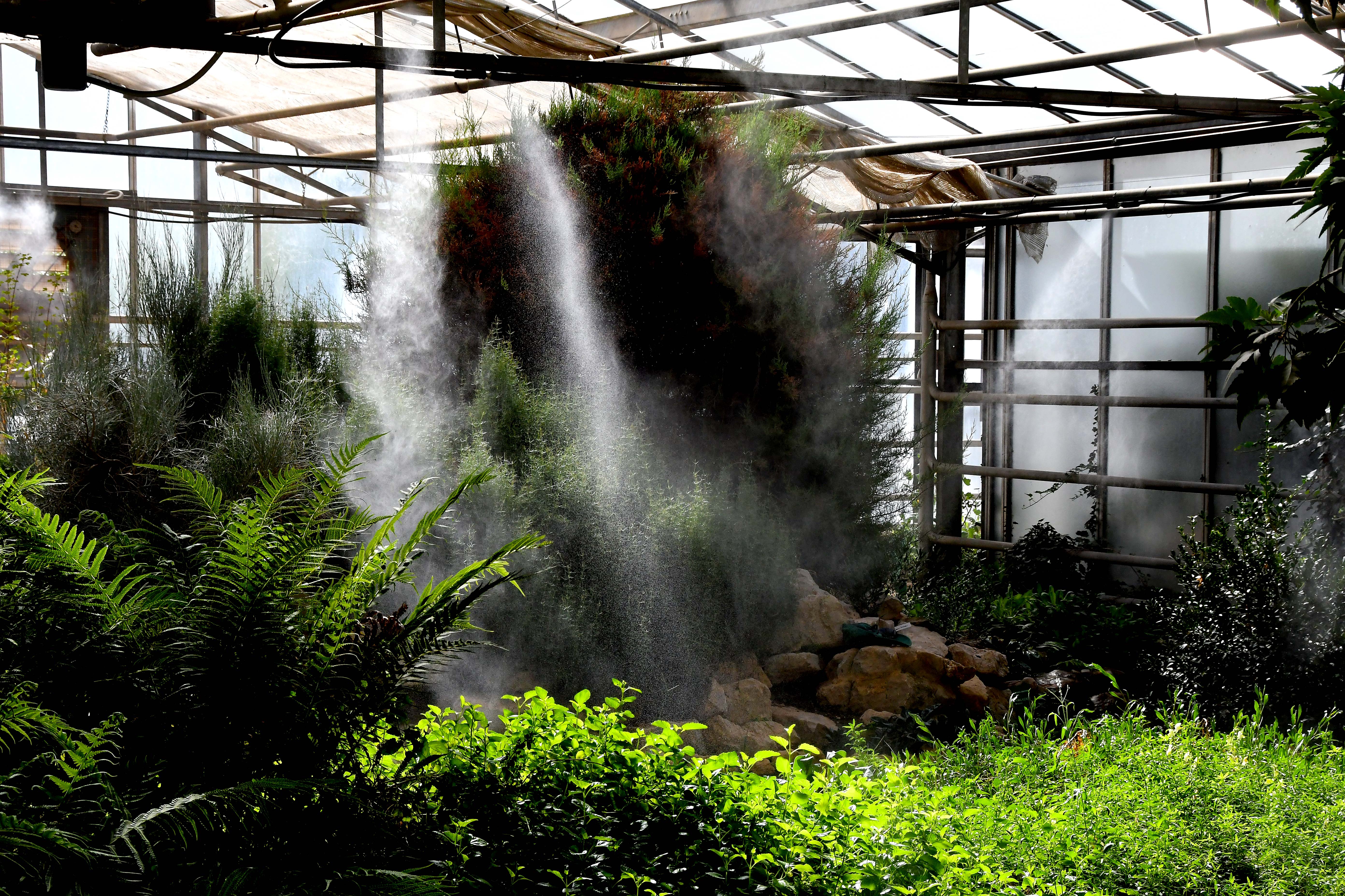 jardinbotanicodecordoba23