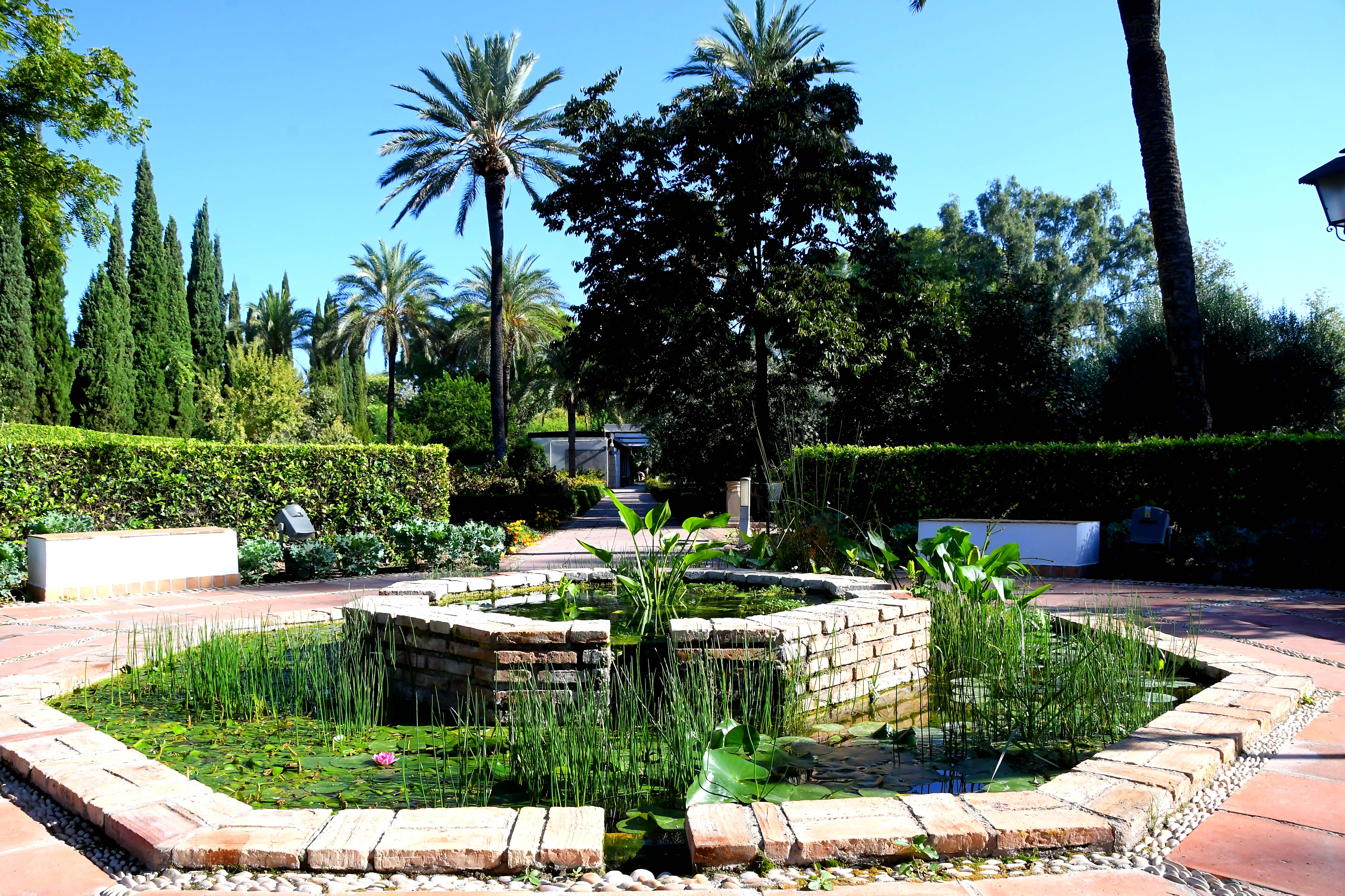 jardinbotanicodecordoba24