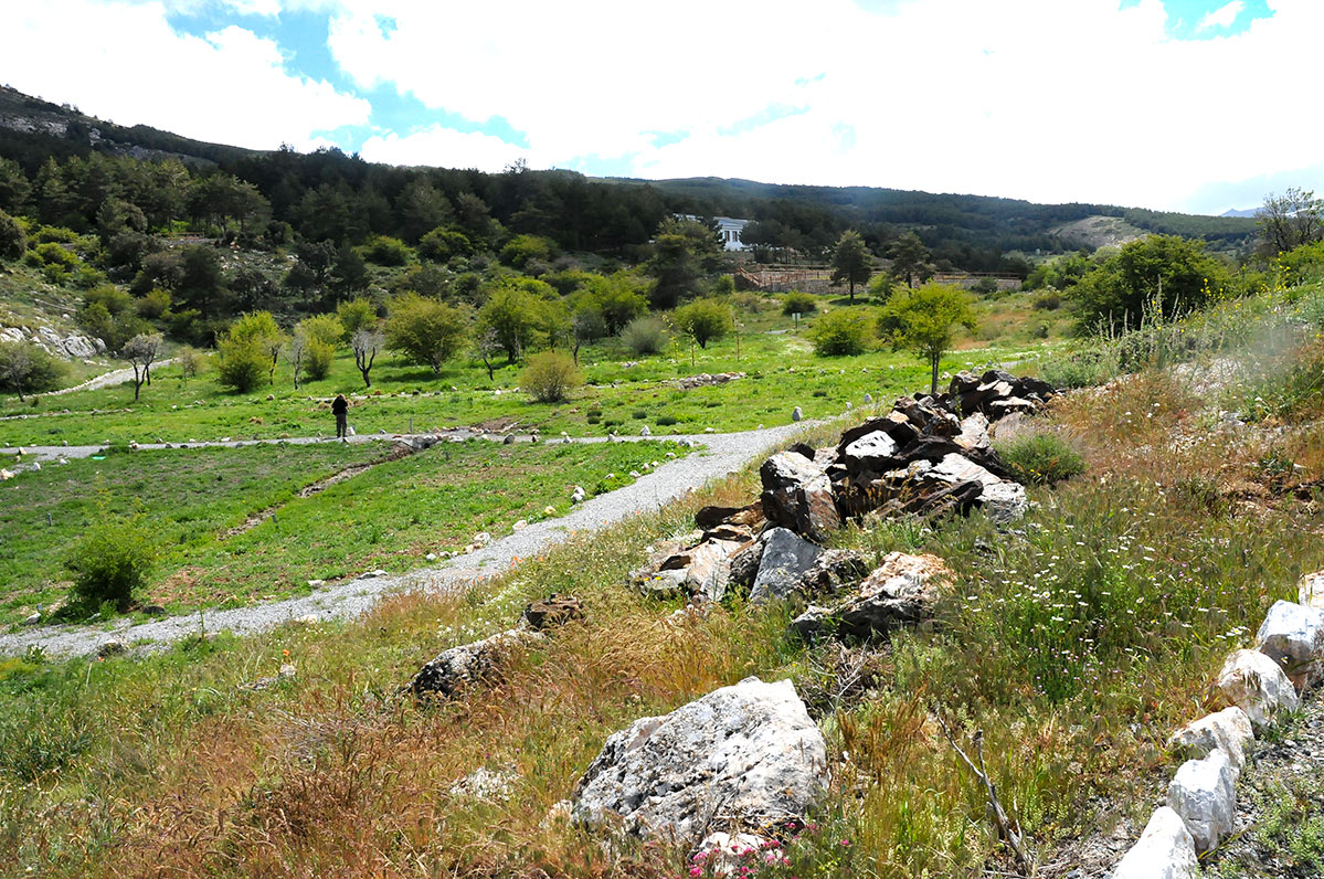 jardinbotanicohoyadepedraza17