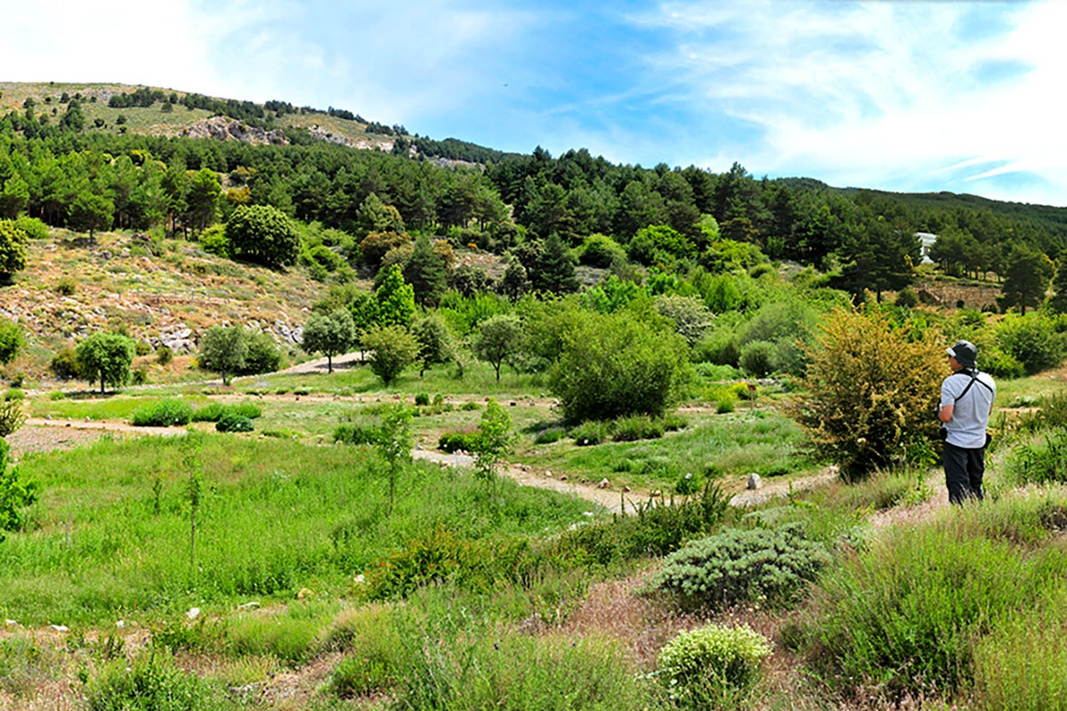 jardinbotanicohoyadepedraza20