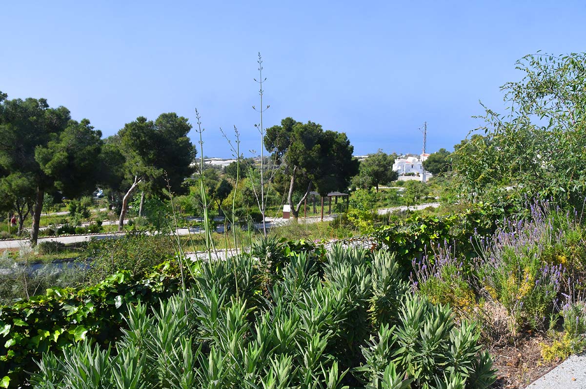jardinbotaniconerja24