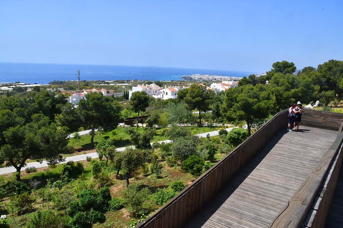 jardinbotaniconerja25