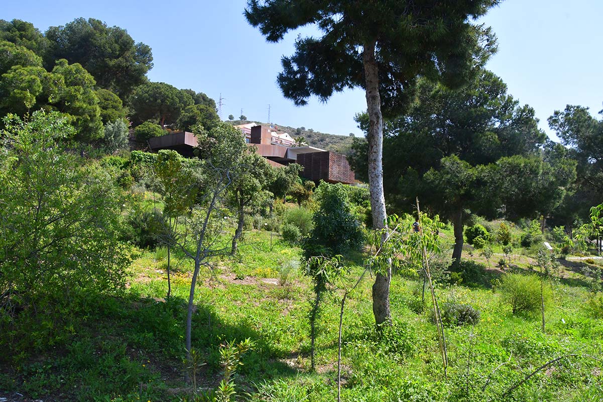 jardinbotaniconerja26