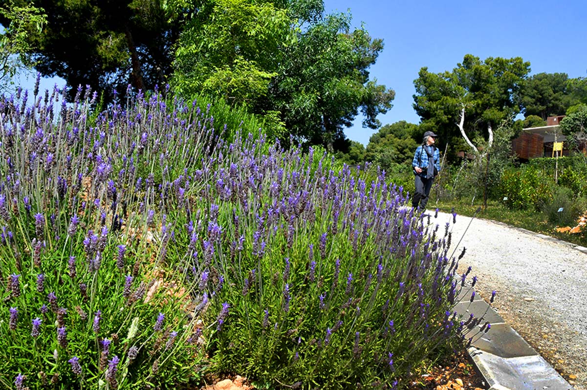 jardinbotaniconerja27