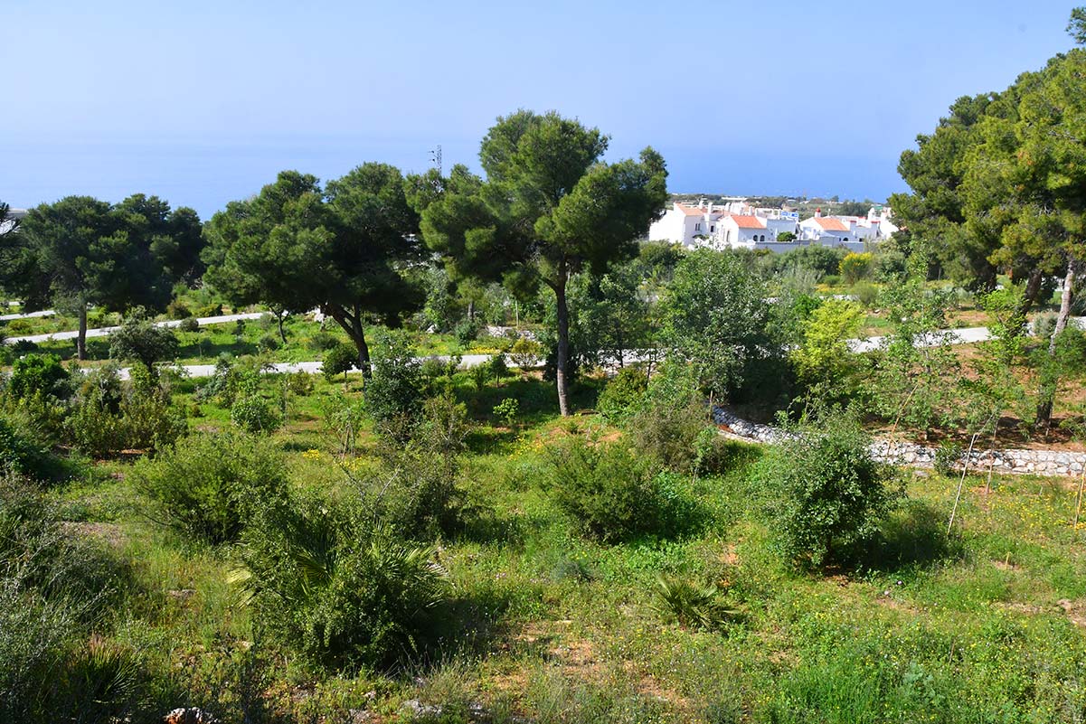 jardinbotaniconerja28