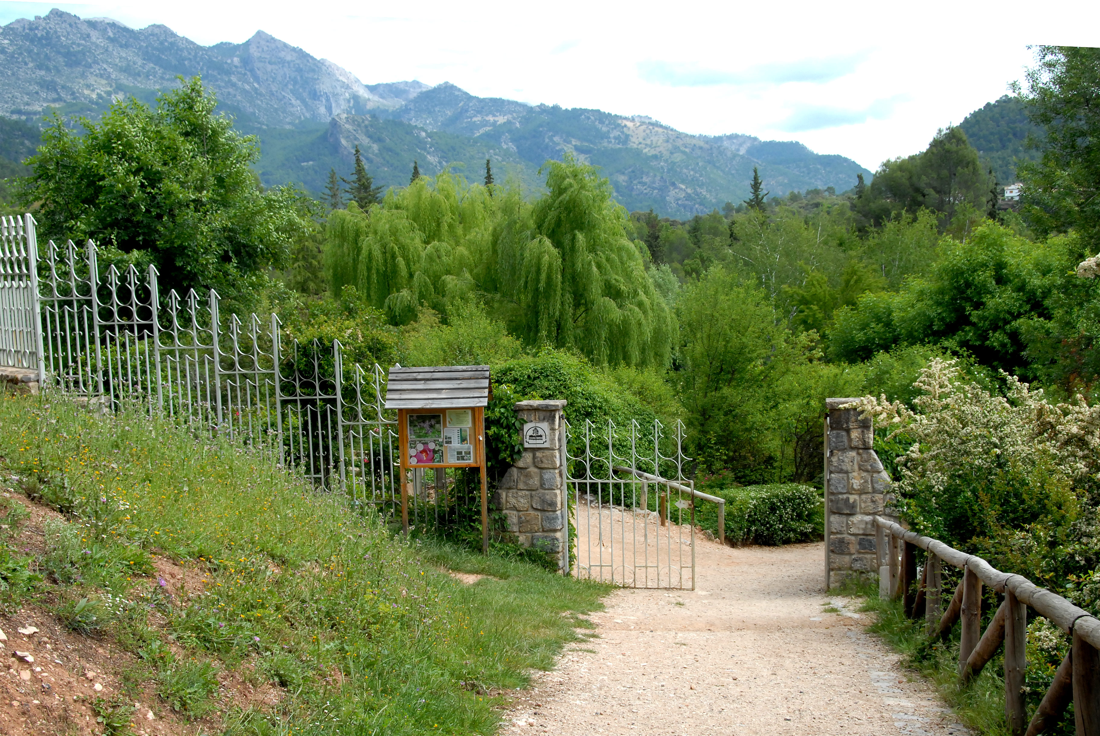 jardindecazorla