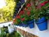 jardinbotanicodecordoba22