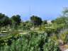 jardinbotaniconerja24