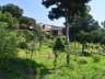 jardinbotaniconerja26