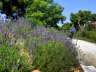 jardinbotaniconerja27