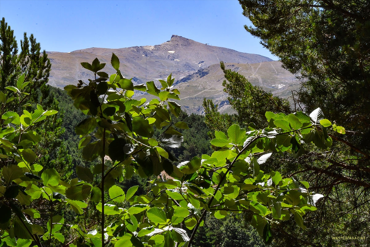 Jardin-Hoya-de-Pedraza-03