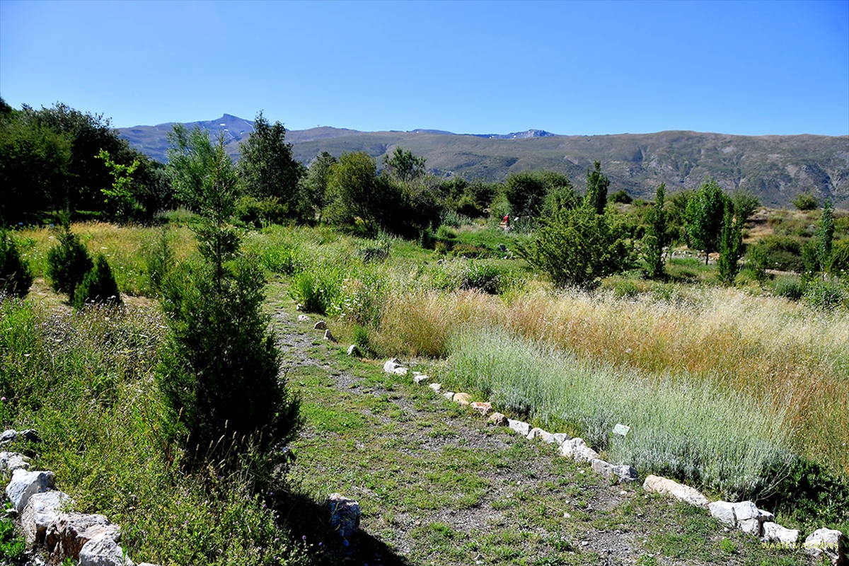 Jardin-Hoya-de-Pedraza-06