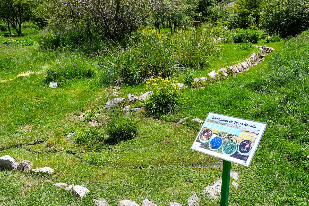 Jardin-Hoya-de-Pedraza-08