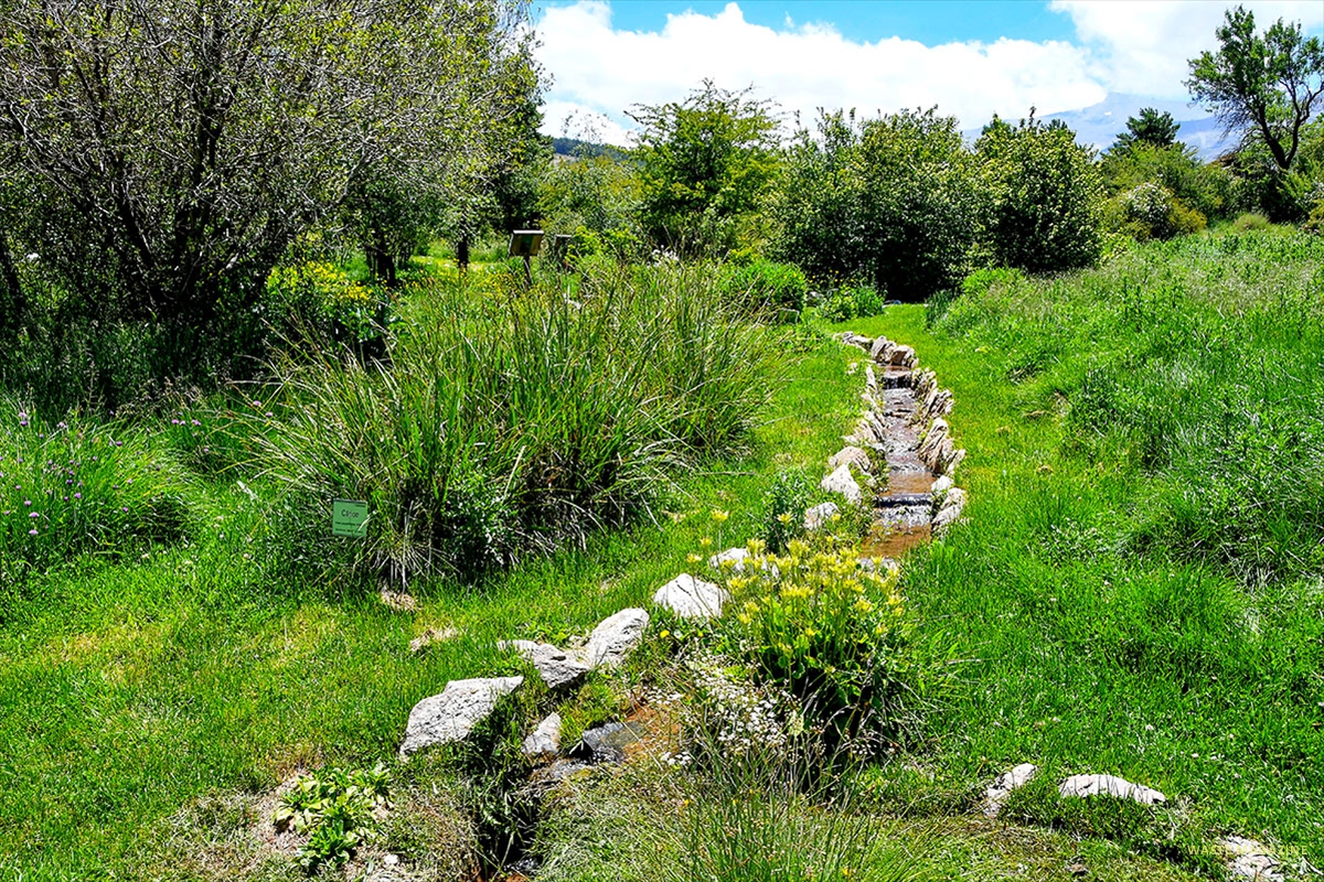 Jardin-Hoya-de-Pedraza-09
