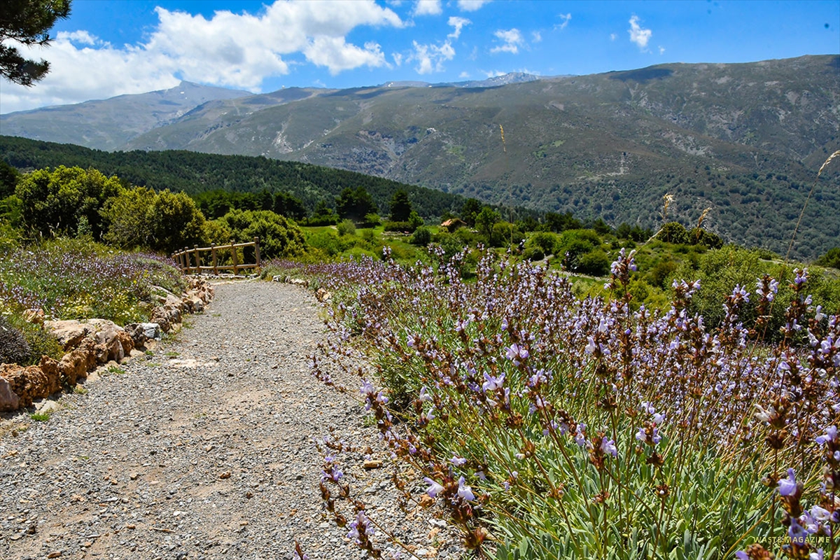 Jardin-Hoya-de-Pedraza-10