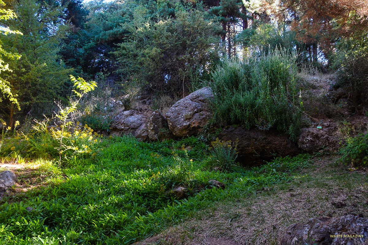 Jardin-Hoya-de-Pedraza-12