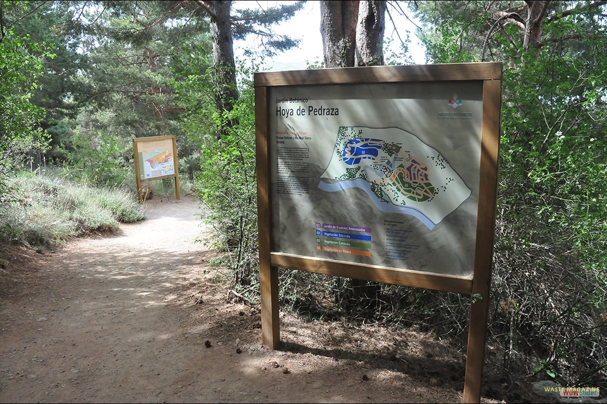 jardinhoyadepedraza004