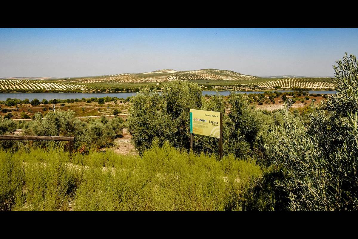 Laguna_de_Zonar-18