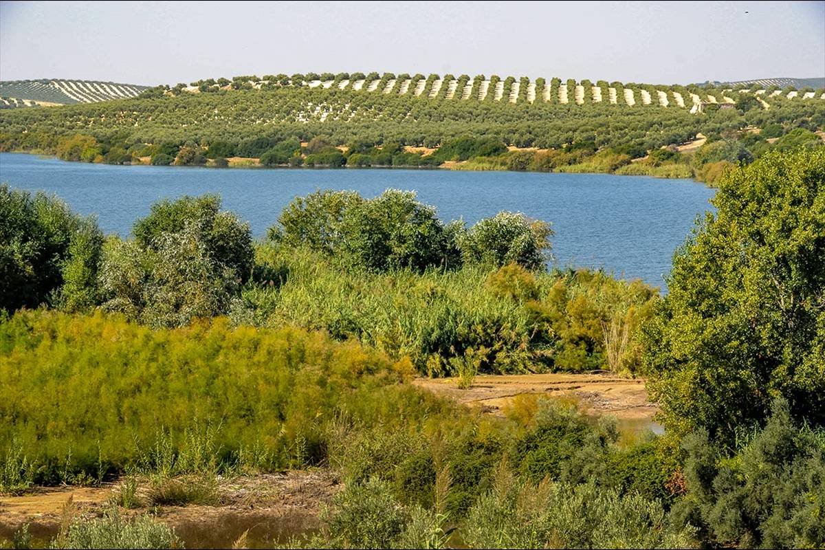 Laguna_de_Zonar-8