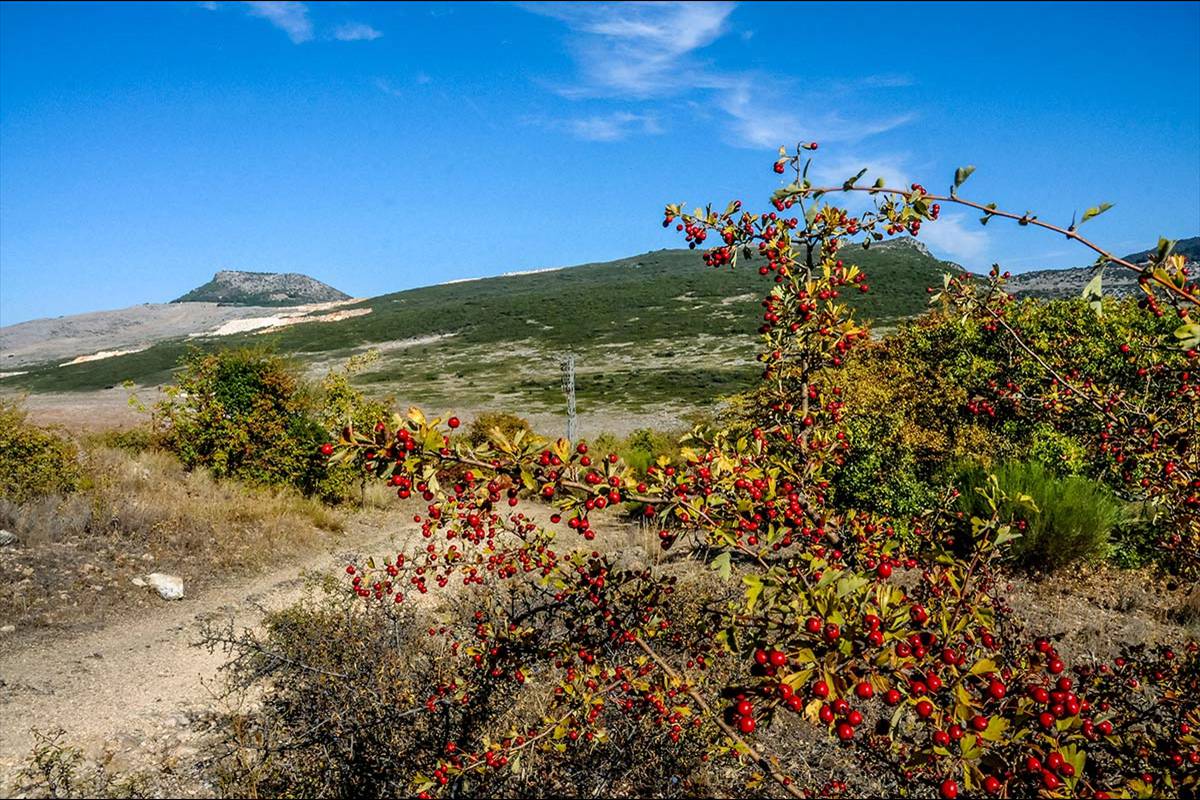 Sierras_Subbeticas-171