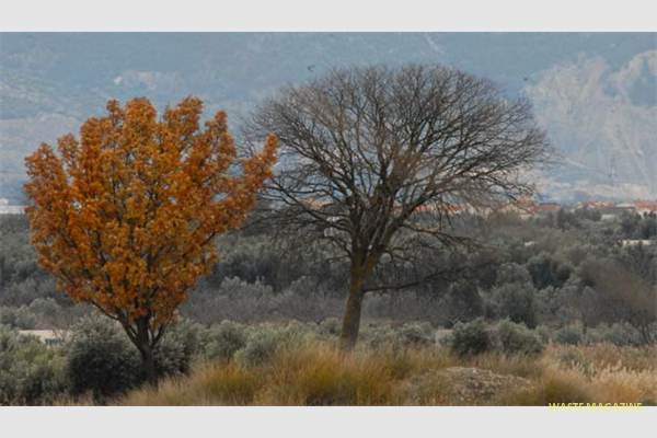 lagunadeagia-fotogaleria14