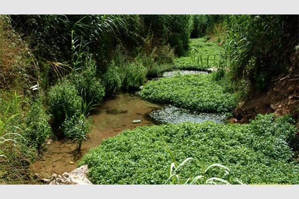 lagunadeagia-fotogaleria9