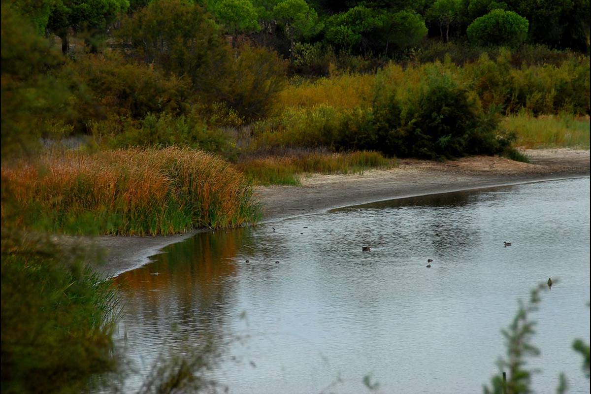lagunadelelportil10