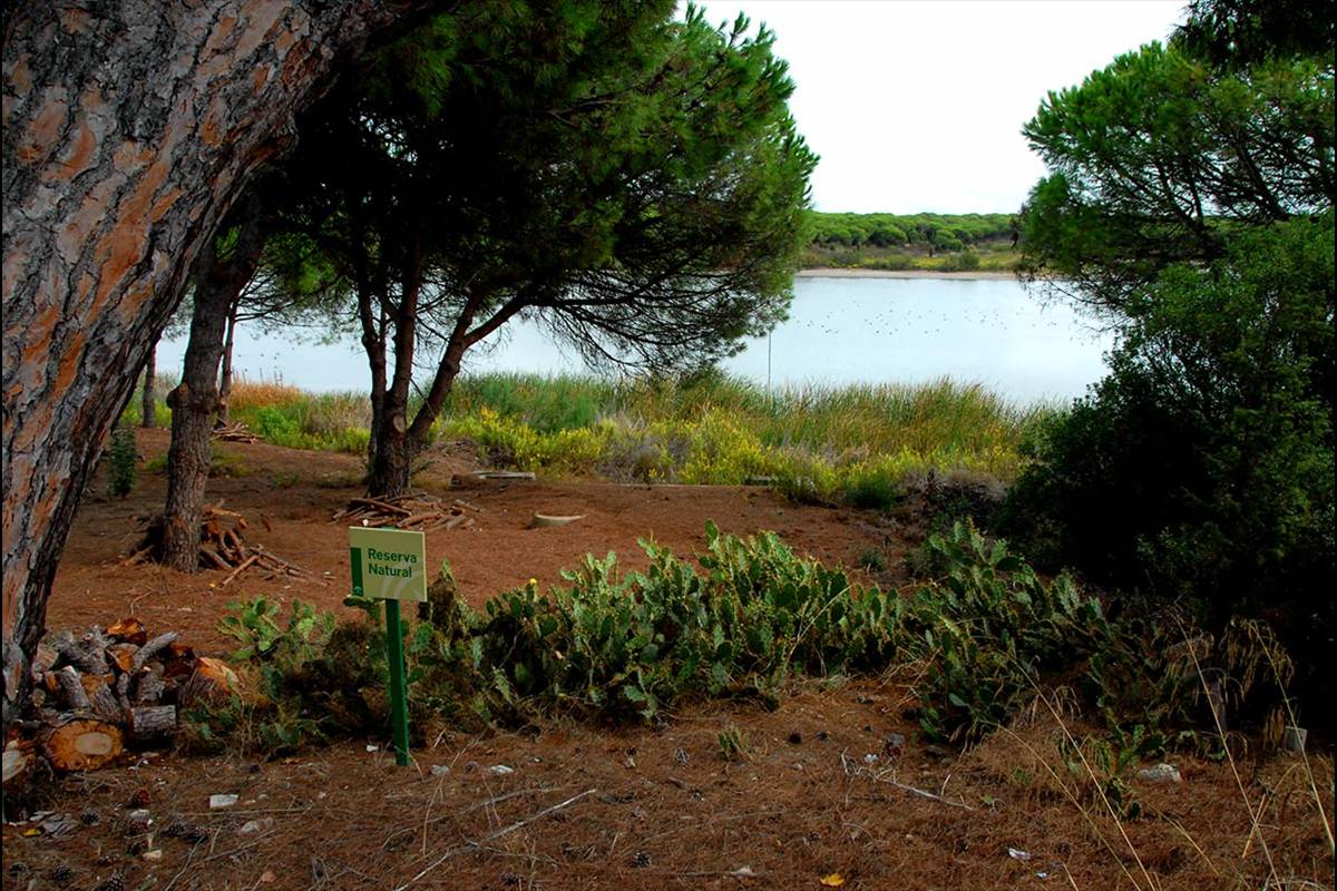 lagunadelelportil21