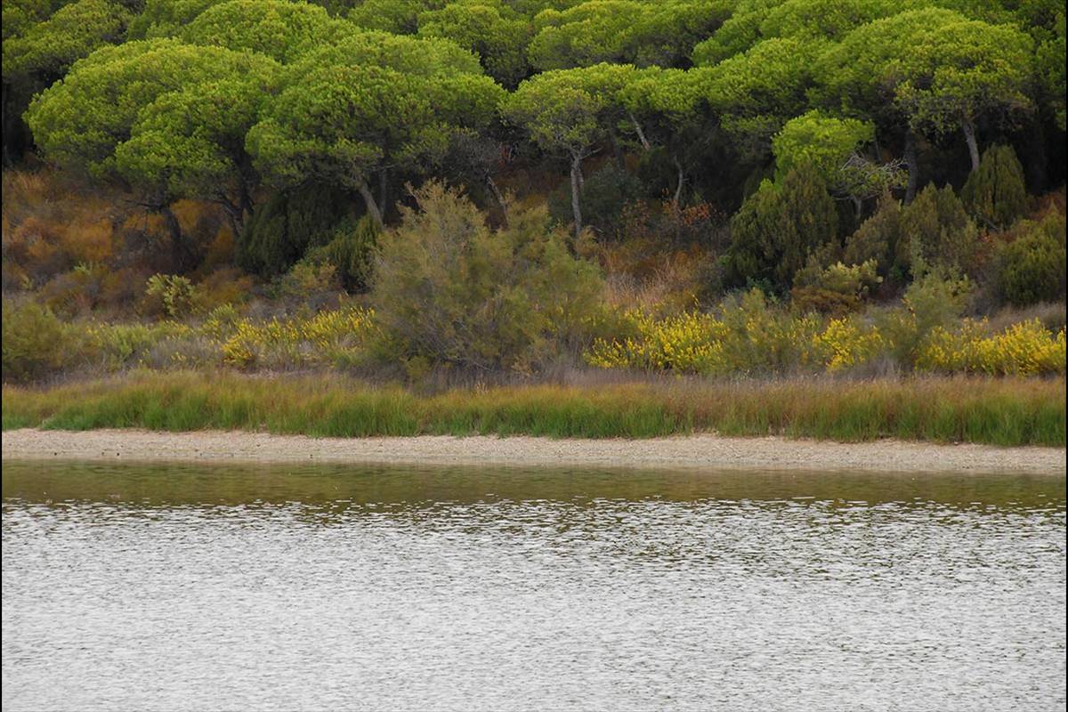 lagunadelelportil6