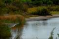 lagunadelelportil10