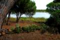 lagunadelelportil21