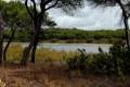 lagunadelelportil31