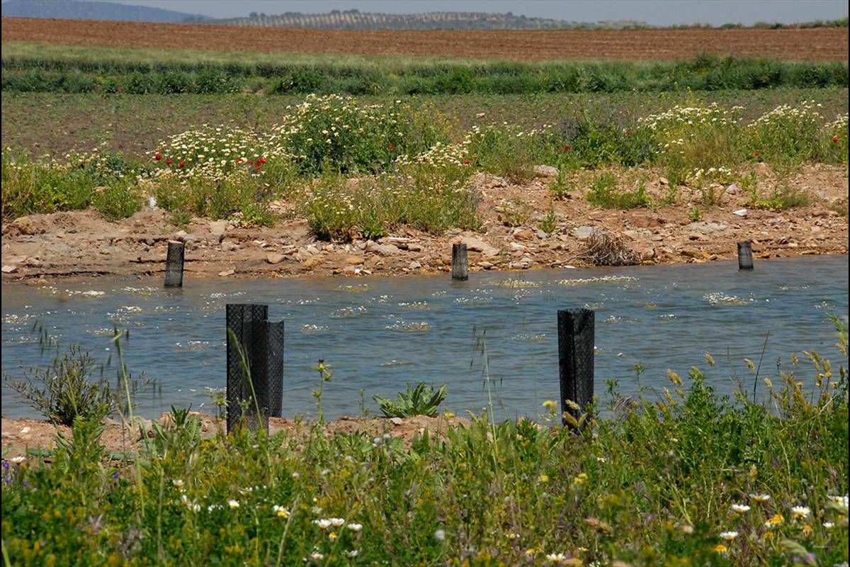 campillos-lagunaredonda21