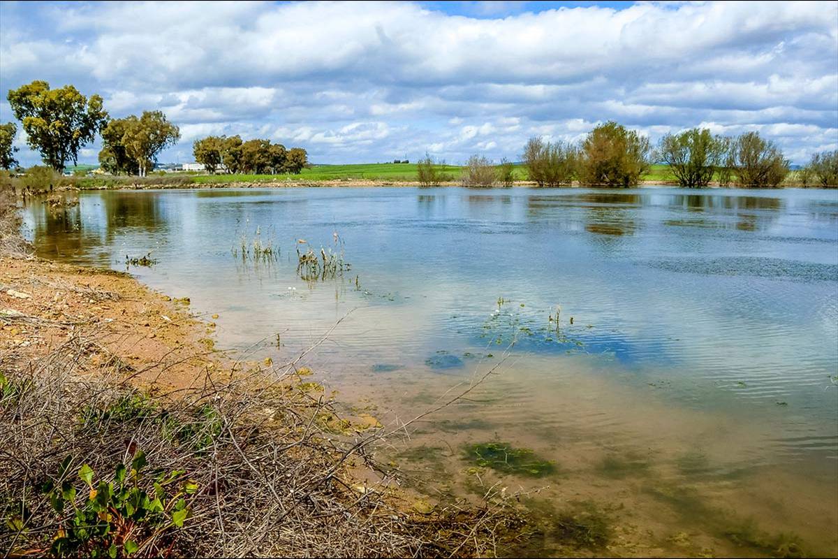 campillos-lagunaredonda29-copia