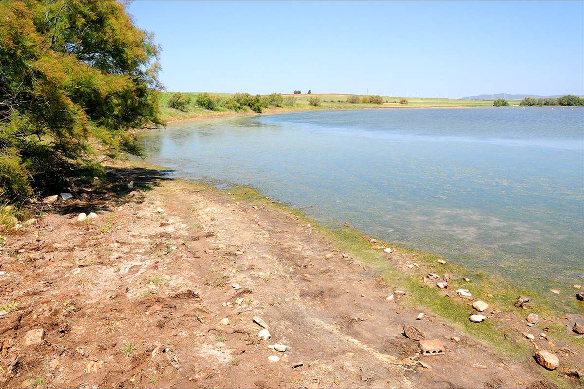 campillos-lagunasalada9
