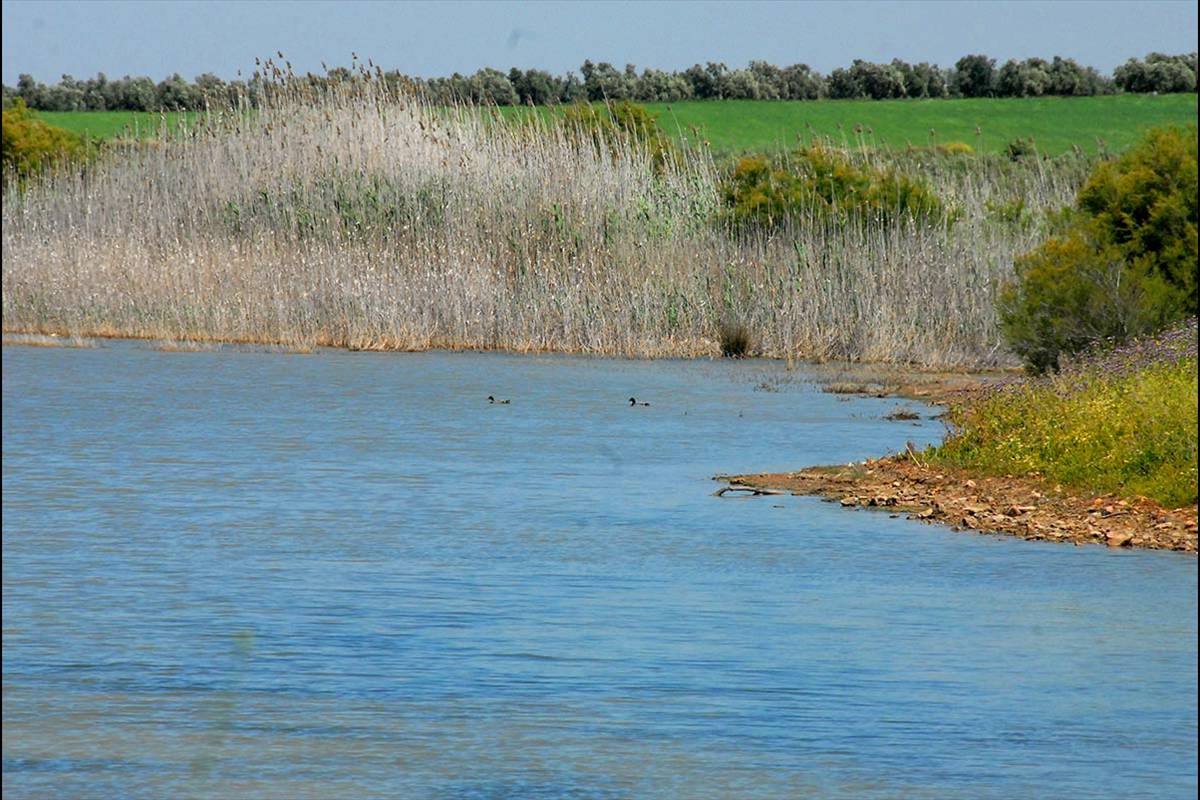 lagunasdecampillos16