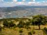 LanjaronRevegetacion05