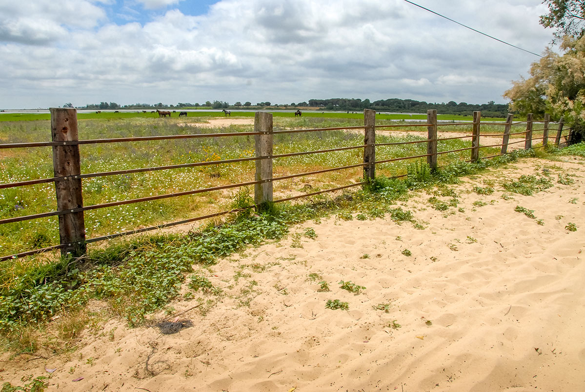 larocinaelrocio1