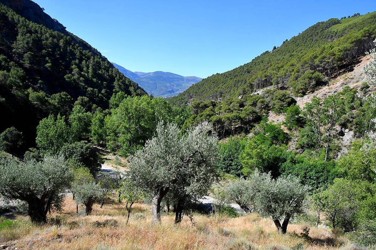 RÍO ANDARAX * SENDEROS