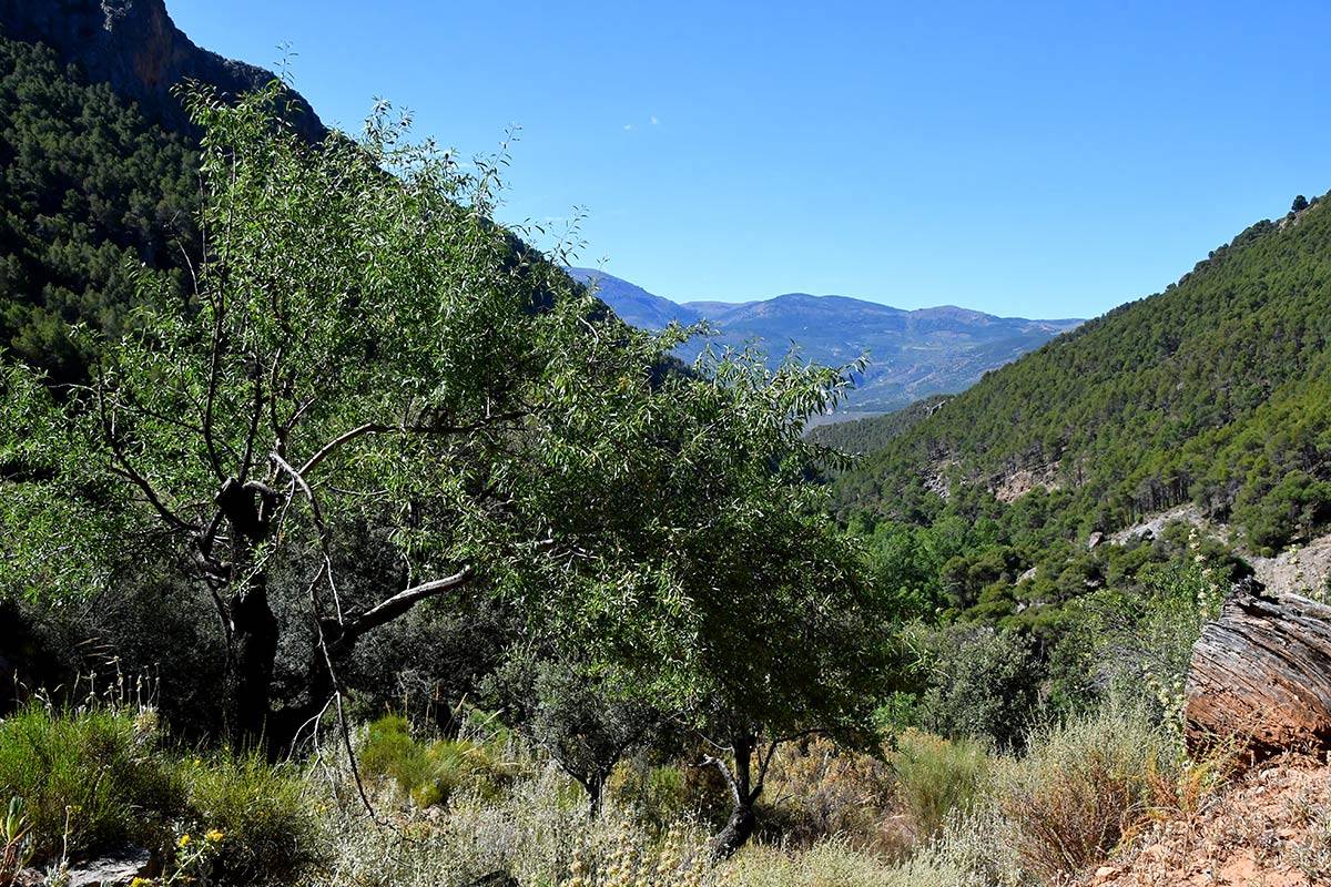 RÍO ANDARAX * SENDEROS