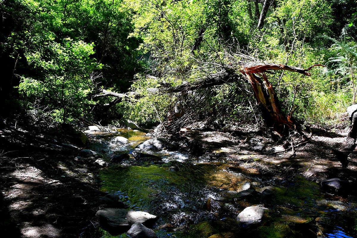 RÍO ANDARAX * ALISEDAS