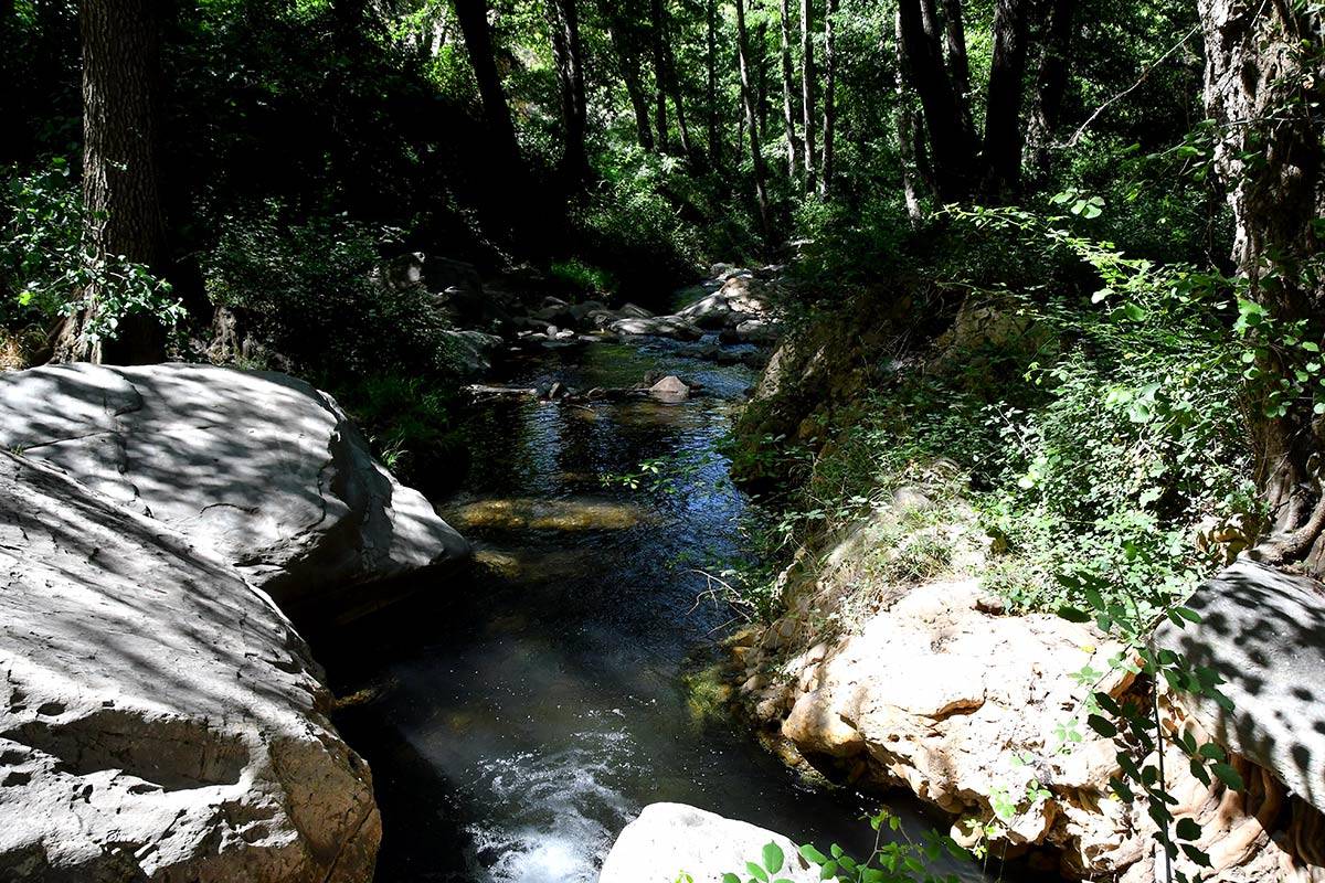 RÍO ANDARAX * ALISEDAS