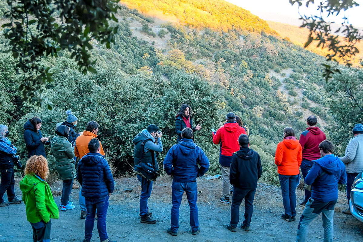 Rut Aspizua explica las singularidades del robledal